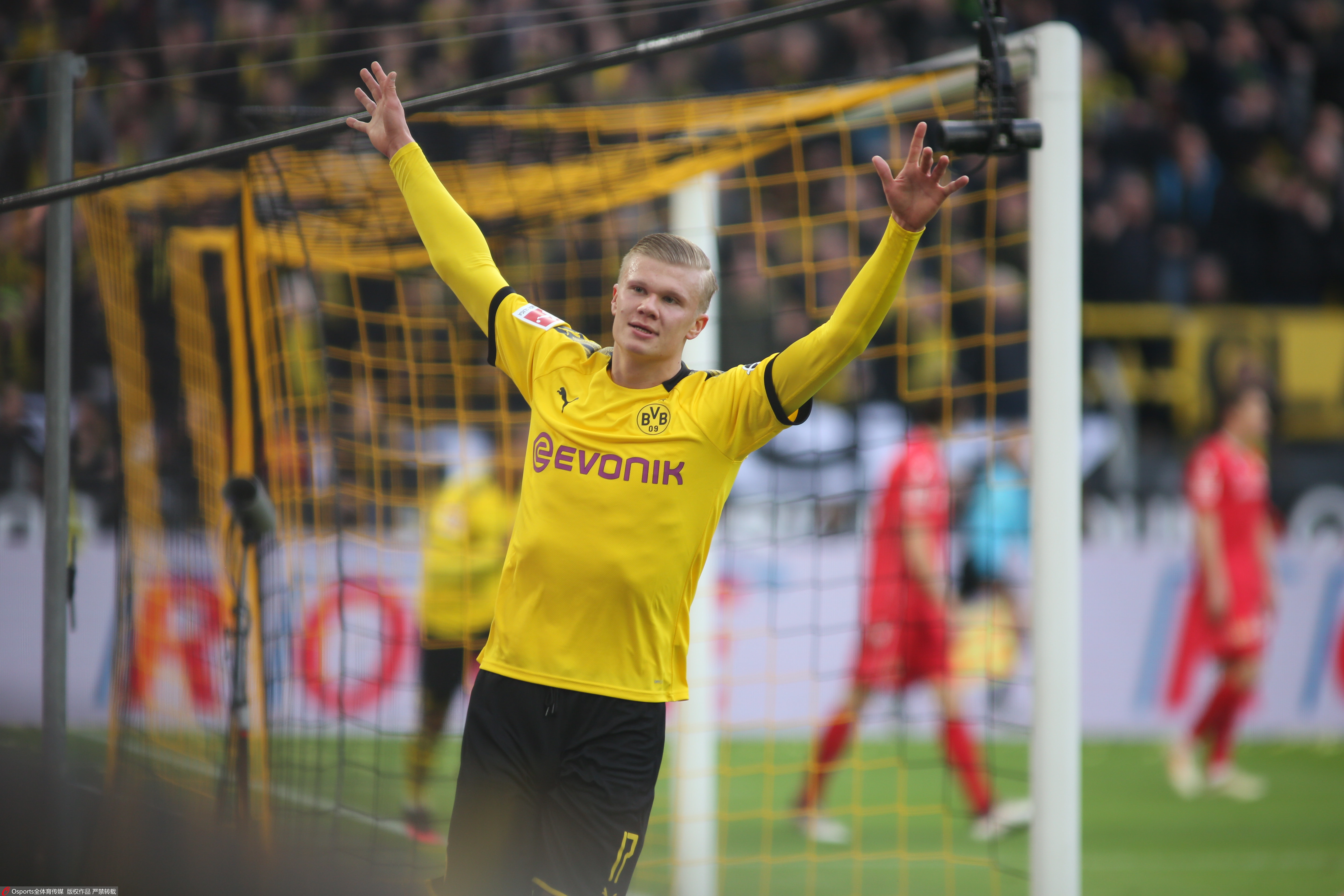 自行车灯 自行车灯